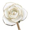 Blissful White - R 360898