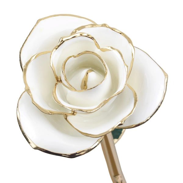 Blissful White - R 360898
