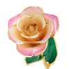 Blushed Pink - R 286855
