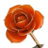 Juicy Orange - R 83970018