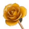 Sunshine Yellow - R 83970021