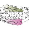 Mt Rushmore Black Hills White Gold Family Jewelry Leaf and Grape Cluster Ring with 2-6, 3.5mm Synthetic Birthstones – WG908-SY - Image 3